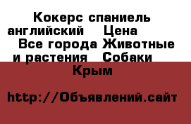 Кокерс спаниель английский  › Цена ­ 4 500 - Все города Животные и растения » Собаки   . Крым